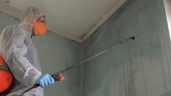 Effective Henrico Mold Remediation Service for Better Indoor Air Quality
