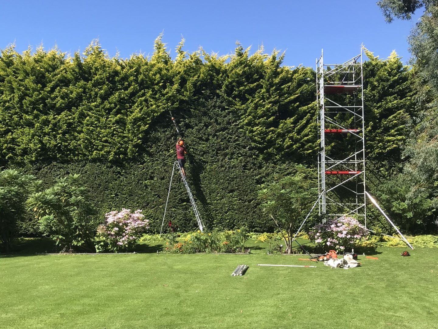Safe Tree Removal by Heald green tree surgeon Certified Experts