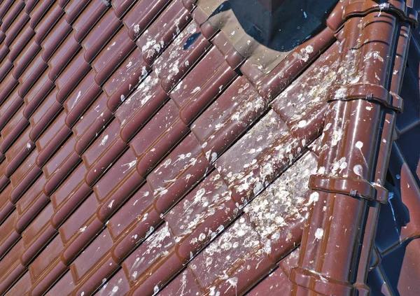 Commercial Roofing Company in CT for Businesses of Every Size