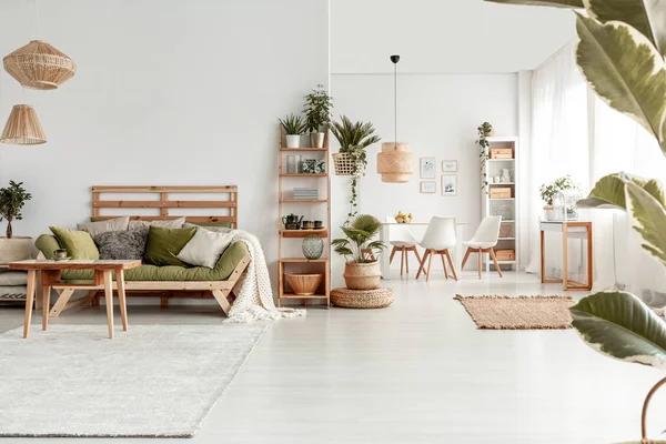 The Real Cost of Ignoring Mold in Your Home Hidden Risks Every Homeowner Should Know