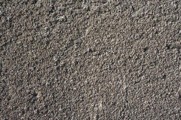 Complete Guide to Choosing the Right Concrete Coatings Albuquerque