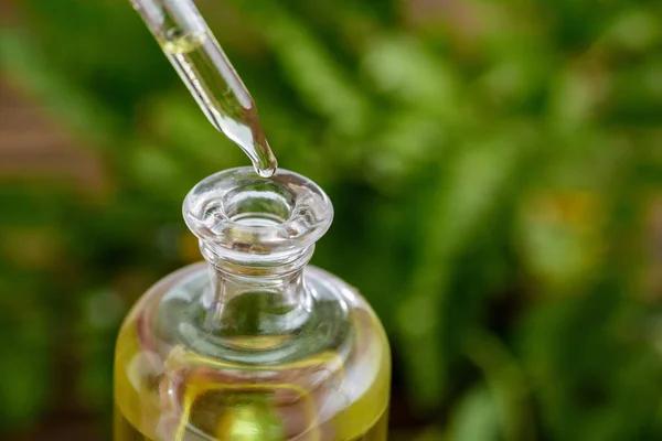 Making Informed Choices When Shopping for Hemp Products
