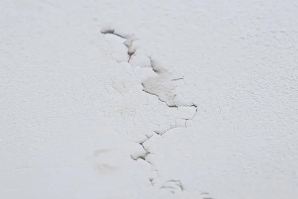 Top Benefits of Professional Water Damage Restoration and Repair Services